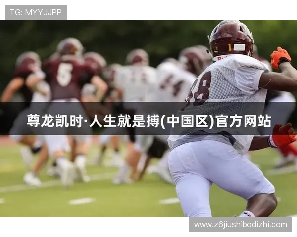 揭秘尊龙凯时娱乐官网背后的技术实力与市场定位 揭秘尊龙凯时娱乐官网背后的技术实力与市场定位