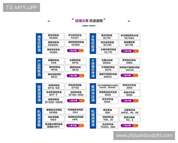 尊龙app会员登录入口稳定性分析及优化建议全攻略