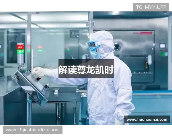 深入了解尊龙凯时搏的游戏规则，提升你的胜率与技巧